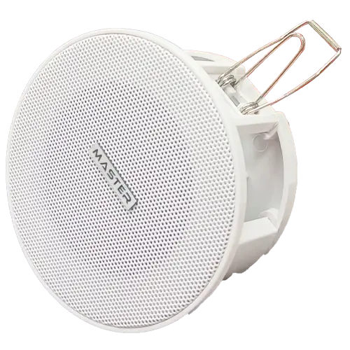 Speaker Master Team 206LMT 6w in spot 10cm